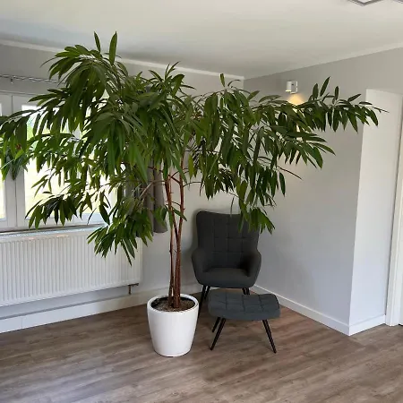 4 Schlafzimmer 8 Personen Parkplatz Grundstueck Garten ライプツィヒ