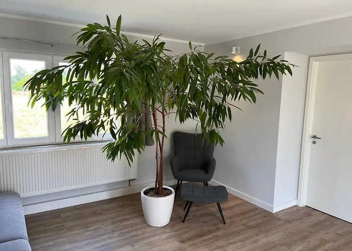 4 Schlafzimmer 8 Personen Parkplatz Grundstueck Garten Leipzig